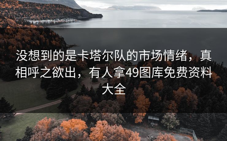 没想到的是卡塔尔队的市场情绪,真相呼之欲出,有人拿49图库免费资料大全 没想到的是卡塔尔队的市场情绪,真相呼之欲出,有人拿49图库免费资料大全